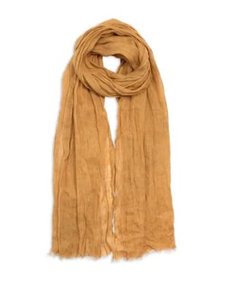 15715155.fpx