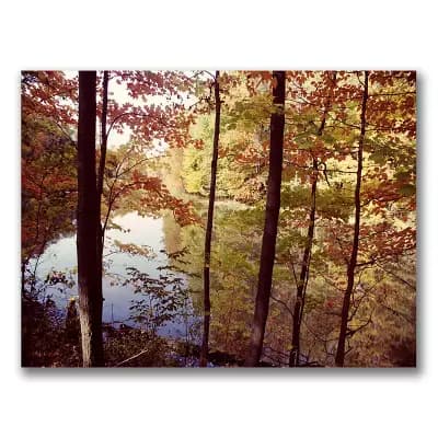 A Secret Pond Canvas Wall Art by Kurt Shaffer