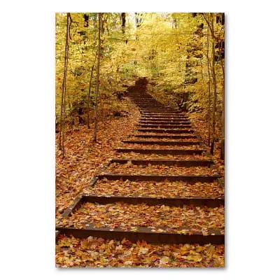 Fall Stairway 24" x 18" Canvas Wall Art by Kurt Shaffer