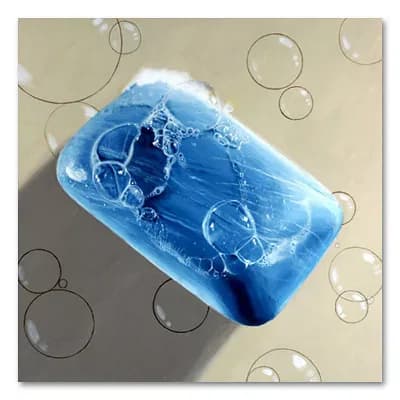 Bar Soap 18" x 18" Canvas Wall Art by Roderick Stevens