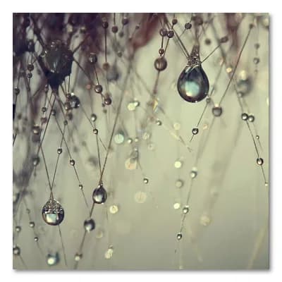 18'' x 18'' ''Forgotten Wishes'' Canvas Wall Art by Beata Czyzowska