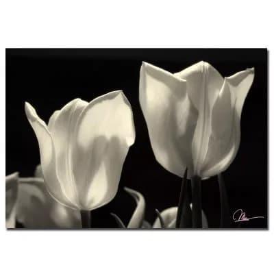 "Tulips" Canvas Wall Art
