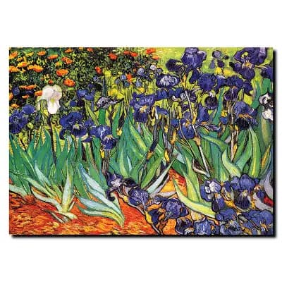 "Irises at Saint-Remy" Canvas Wall Art by Vincent van Gogh