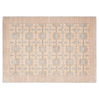 Safavieh Valencia Lucille Framed Medallion Rug