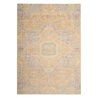 Safavieh Windsor Aiden Framed Medallion Rug