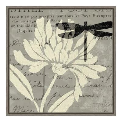 Amanti Art "Natural Prints II" Framed Canvas