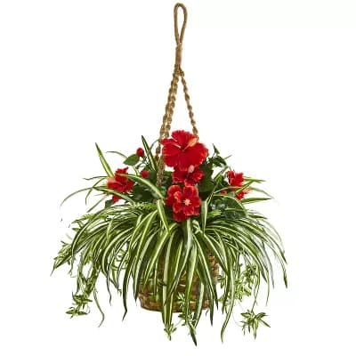 nearly natural Hibiscus & Spider Artificial Plant in Hanging Basket