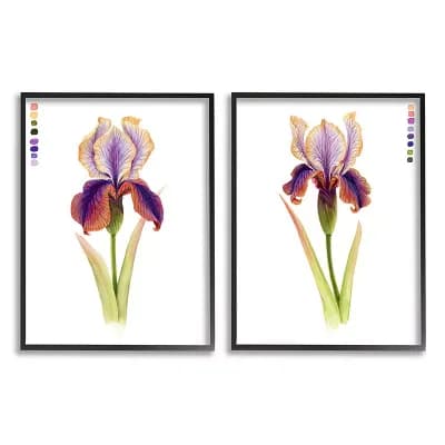 Stupell Home Decor Orange Purple Iris Flower Framed Wall Art 2 pc Set