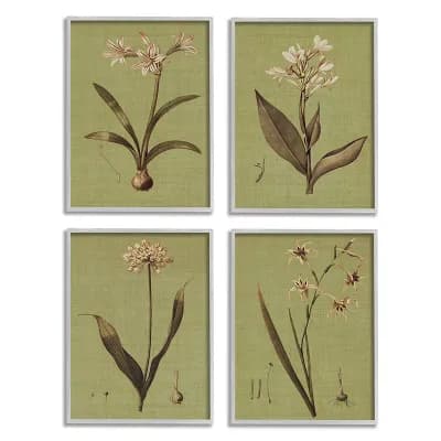 Stupell Home Decor Botanical Plant Framed Wall Art 4 pc Set
