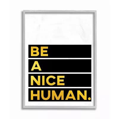 Stupell Home Decor Be a Nice Human Typography Framed Wall Art