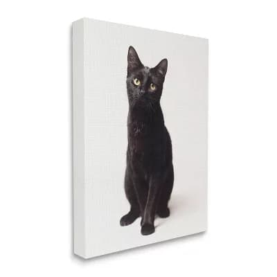Stupell Home Decor Cute Black Cat Wall Art