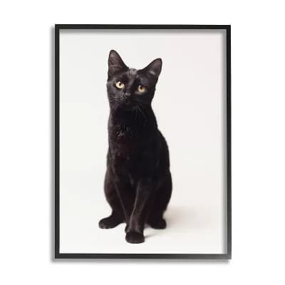 Stupell Home Decor Cute Black Cat Wall Art