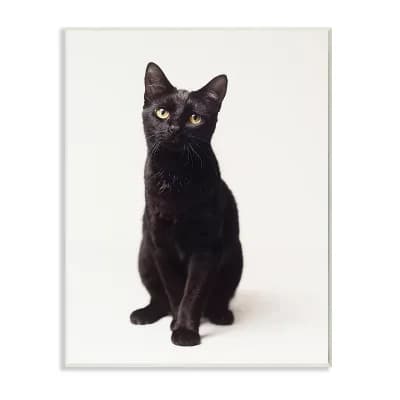 Stupell Home Decor Cute Black Cat Wall Art