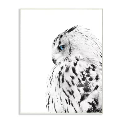 Stupell Home Decor Snow Owl Feathers Plaque Wall Art
