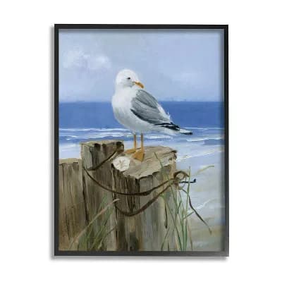 Stupell Home Decor Seagull Sand Dollar Framed Wall Art