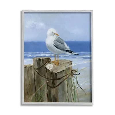 Stupell Home Decor Seagull Sand Dollar Nautical Framed Wall Art