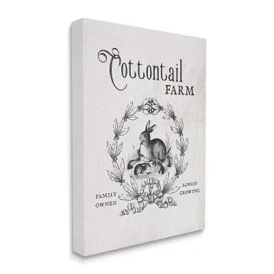 Stupell Home Decor Cottontail Farm Rabbit Canvas Wall Art