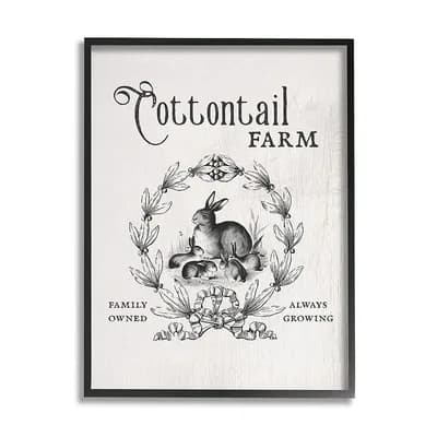 Stupell Home Decor Cottontail Farm Rabbit Framed Wall Art