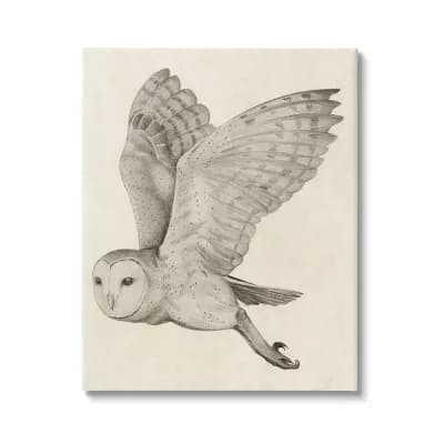 Stupell Home Decor Vintage Barn Owl Canvas Wall Art