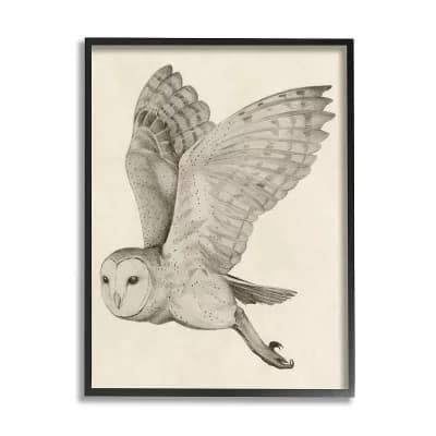 Stupell Home Decor Vintage Barn Owl Framed Wall Art
