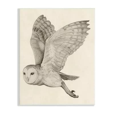 Stupell Home Decor Vintage Barn Owl Plaque Wall Art