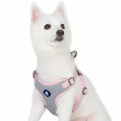 Better Basics No Pull Reflective Dog Harness Vest