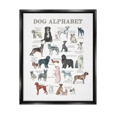 Stupell Home Decor Dog Alphabet Breeds Floating Frame Wall Art