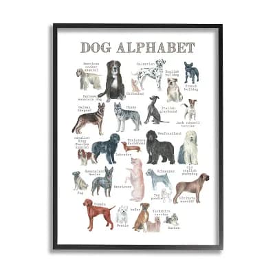 Stupell Home Decor Dog Alphabet Multiple Breeds Framed Wall Art