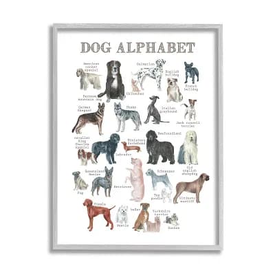 Stupell Home Decor Dog Alphabet Multiple Breeds Framed Wall Art