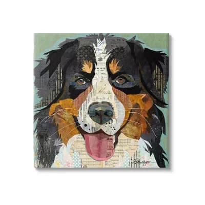 Stupell Home Decor Bernese Mountain Dog Ephemera Canvas Wall Art