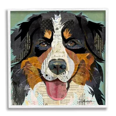 Stupell Home Decor Bernese Mountain Dog Ephemera Framed Wall Art