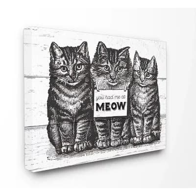 Stupell Home Decor Had Me At Meow Canvas Wall Art - Size: 24X30