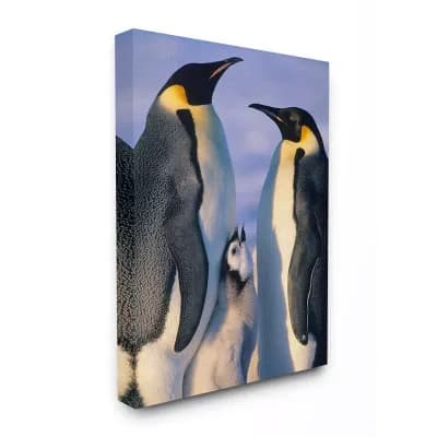 Stupell Home Decor Emperor Penguin Canvas Wall Art