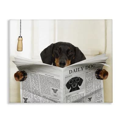 Stupell Home Decor Dog On Toilet Newspaper Canvas Wall Art - Size 36x48