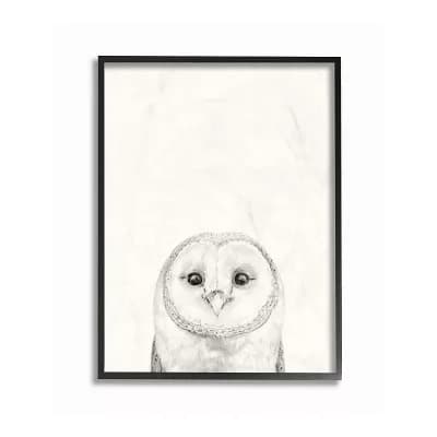 Stupell Home Decor Owl Portrait Framed Wall Art - Size 24x30
