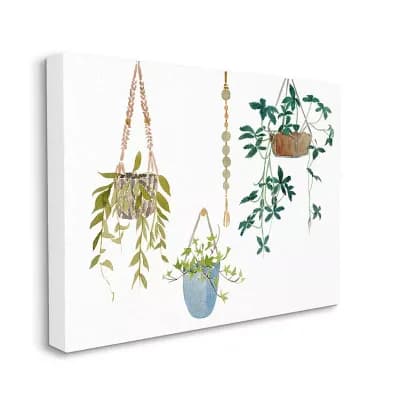 Stupell Home Decor Hanging Plant Vines Canvas Wall Art - Size: 30X40