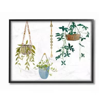 Stupell Home Decor Hanging Plant Vines Framed Wall Art - Size: 24X30
