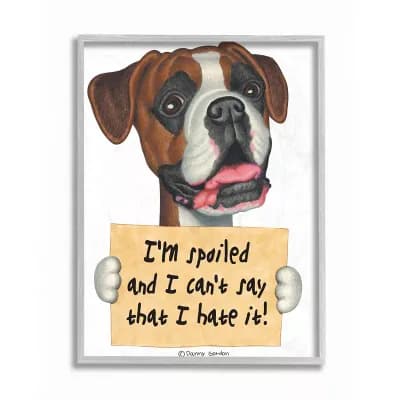 Stupell Home Decor Spoiled Boxer Dog Pet Framed Wall Art - Size: 16X20