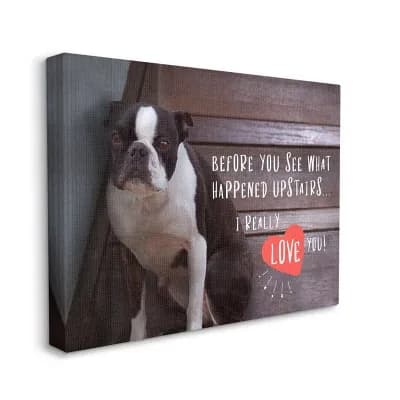 Stupell Home Decor Bad Dog Apology Family Pet Humor Canvas Wall Art