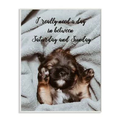 Stupell Home Decor Three Day Weekend Phrase Pet Humor Wall Art - Size: 10X15