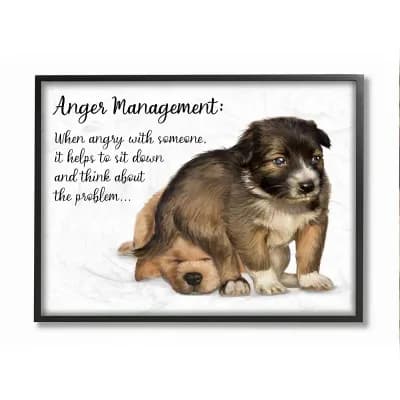 Stupell Home Decor Anger Management Advice Dog Humor Wall Art - Size 24x30