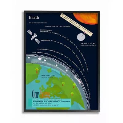 Stupell Home Decor Planet Earth Facts Framed Wall Art