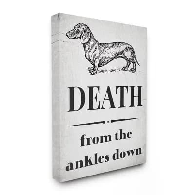 Stupell Home Decor Funny Dachshund Dog Canvas Wall Art