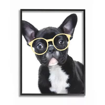 Stupell Home Decor Sophisticated Puppy Dog French Bulldog Glasses Wall Art - Size: 24X30