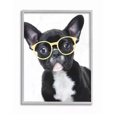 Stupell Home Decor Sophisticated Puppy Dog French Bulldog Glasses Wall Art - Size: 16X20