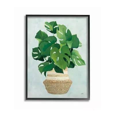 Stupell Home Decor Monstera Plant Framed Wall Art
