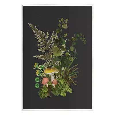Stupell Home Decor Forest Herbs Sprouting Nature Canvas Wall Art