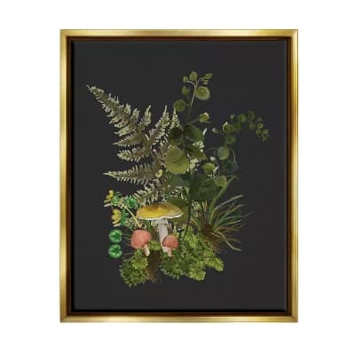 Stupell Home Decor Forest Herbs Sprouting Nature Framed Canvas Wall Art