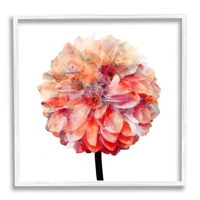 Stupell Home Decor Coral Watercolor Bloom Dahlia Flower Framed Wall Art