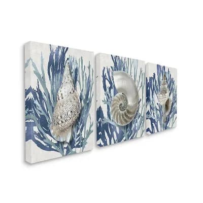 Stupell Home Decor Trio of Shell Coral Blue Beach Design Canvas Wall Art